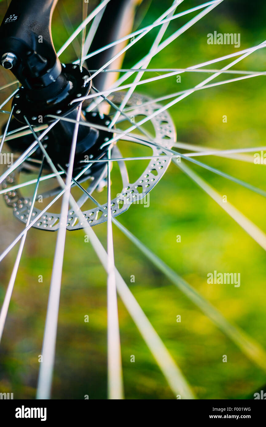 Roue de vélo à l'été Green Grass Meadow Field. Close Up Detail Banque D'Images