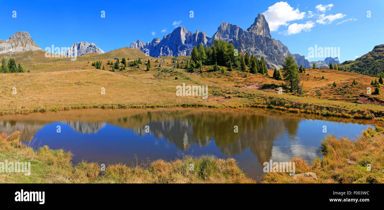 Col Rolle en automne, l'Italie, le Tyrol du Sud, Dolomites, Trentino Banque D'Images