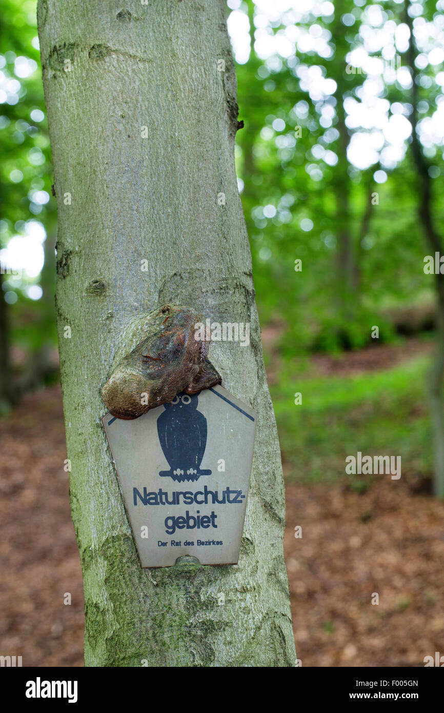 Une ancienne réserve naturelle incarnés signer dans un tronc d'arbre , Allemagne Banque D'Images