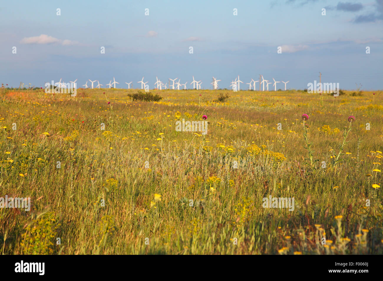 Avec les moulins à vent de la steppe à la péninsule de Kaliakra, Bulgarie, Kavarna Banque D'Images