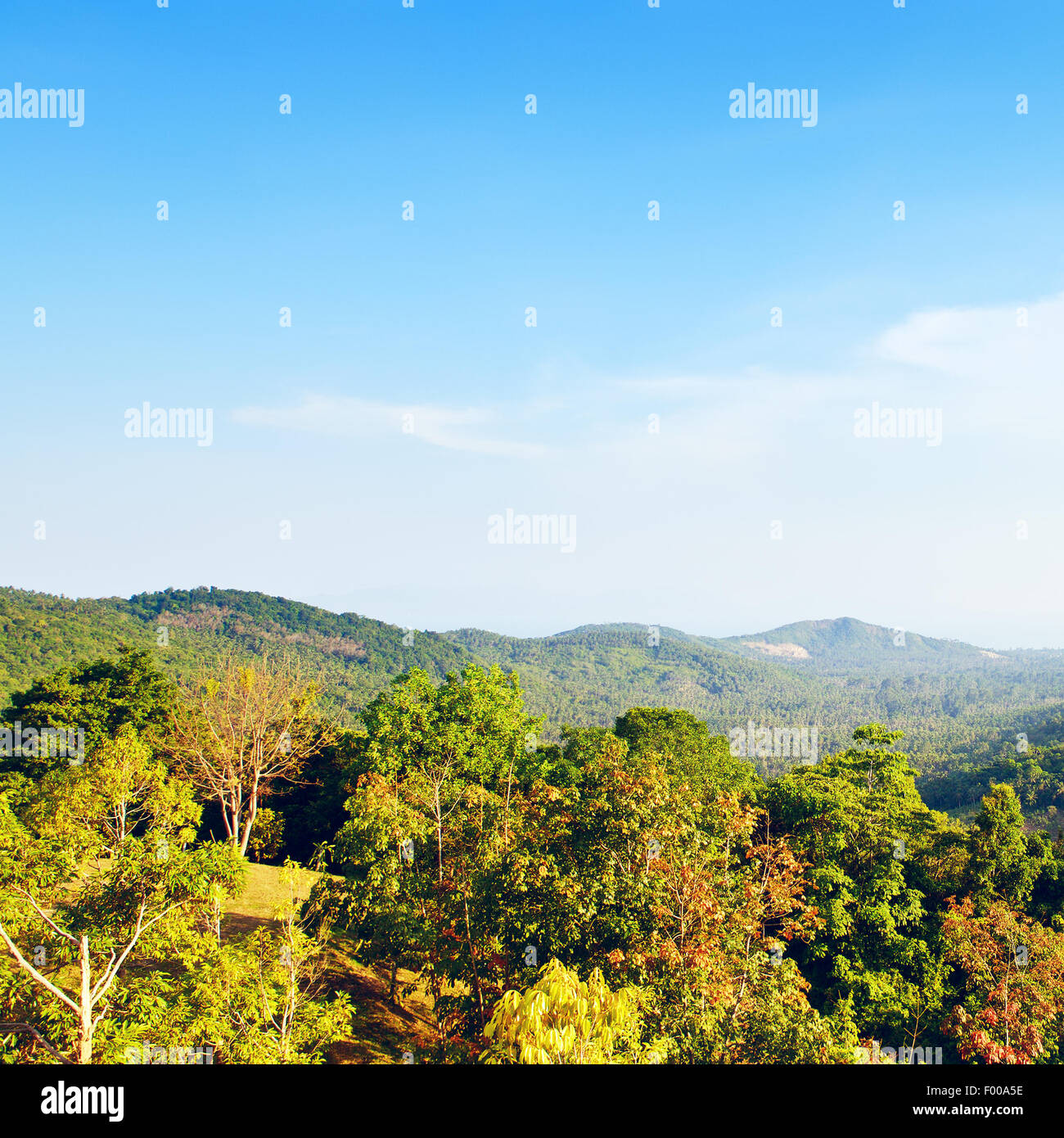 Tropic magnifique paysage, high angle view, Thaïlande Banque D'Images