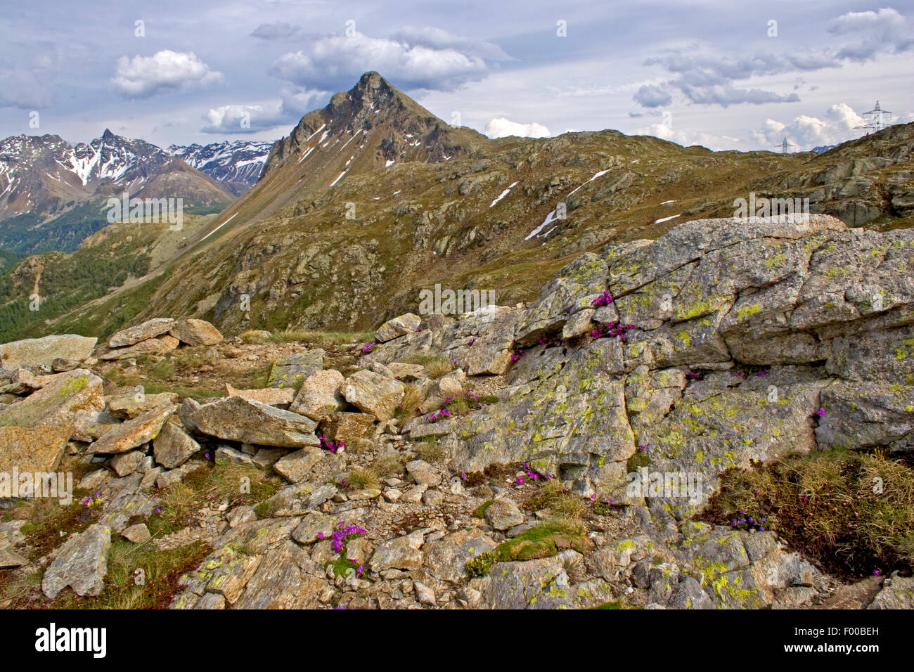 Groupe de la Bernina, Suisse, Grisons, Engadine Banque D'Images