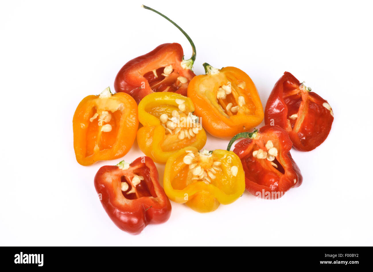 Piment Habanero jaune, rouge piment Habanero, Habanero Orange piment (Capsicum chinense Habanero Gelb, Capsicum chinense Habanero Orange, Capsicum chinense Habanero rot, Capsicum Habanero Gelb, Capsicum Habanero rot), piment Habanero rouge cultivars de jaune, orange et Habanero Habanero Banque D'Images