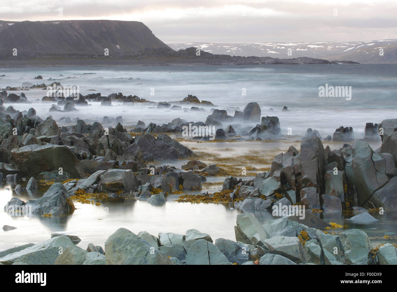 Littoral houleux et des sommets enneigés, til fjells le long de la côte, mer Barentz, Norvège, Varangerfjord Banque D'Images