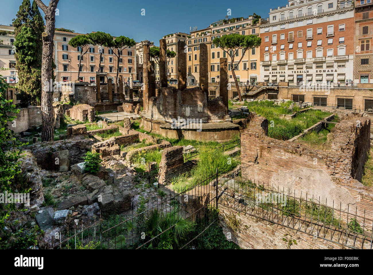 Largo di Torre Argentina ruines romaines de temples et Théâtre de Pompée. Un chat maintenant sanctuaire. Rome. L'Italie. Banque D'Images