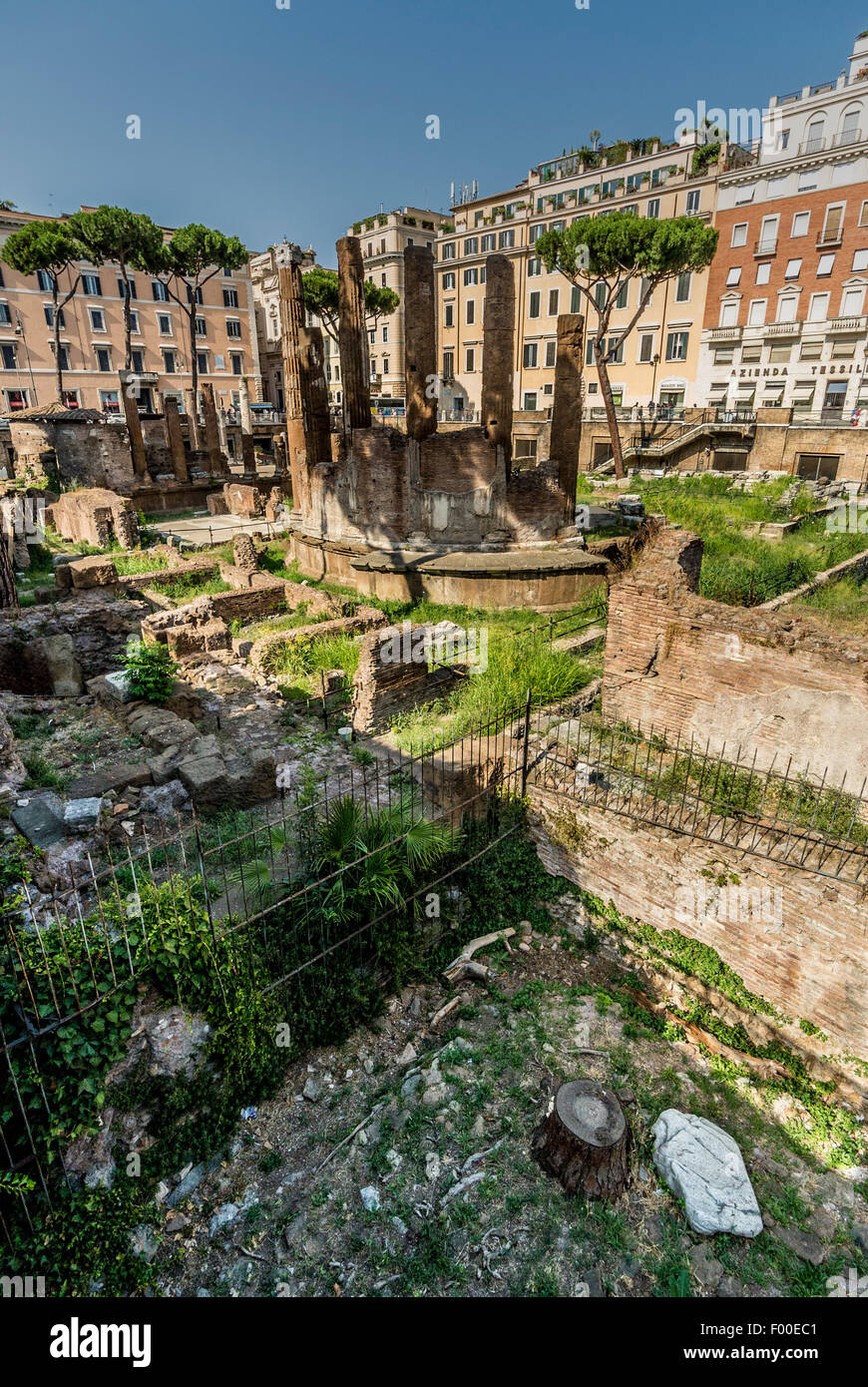 Largo di Torre Argentina ruines romaines de temples et Pompey's Theatre.. Un chat maintenant sanctuaire. Rome. L'Italie. Banque D'Images