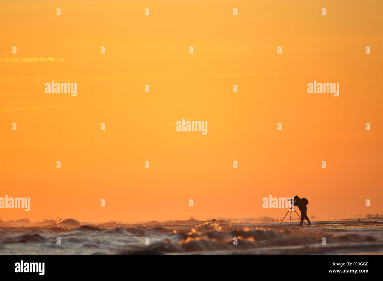 La photographie de la nature en action sur la plage au lever du soleil, Belgique Banque D'Images