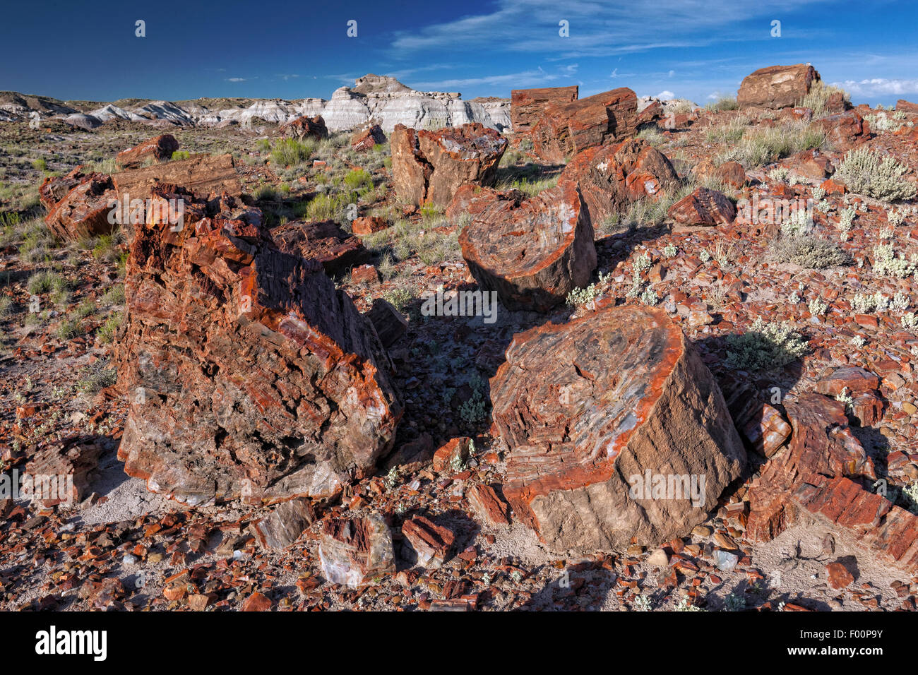 Petrified Forest National Park, AZ Banque D'Images