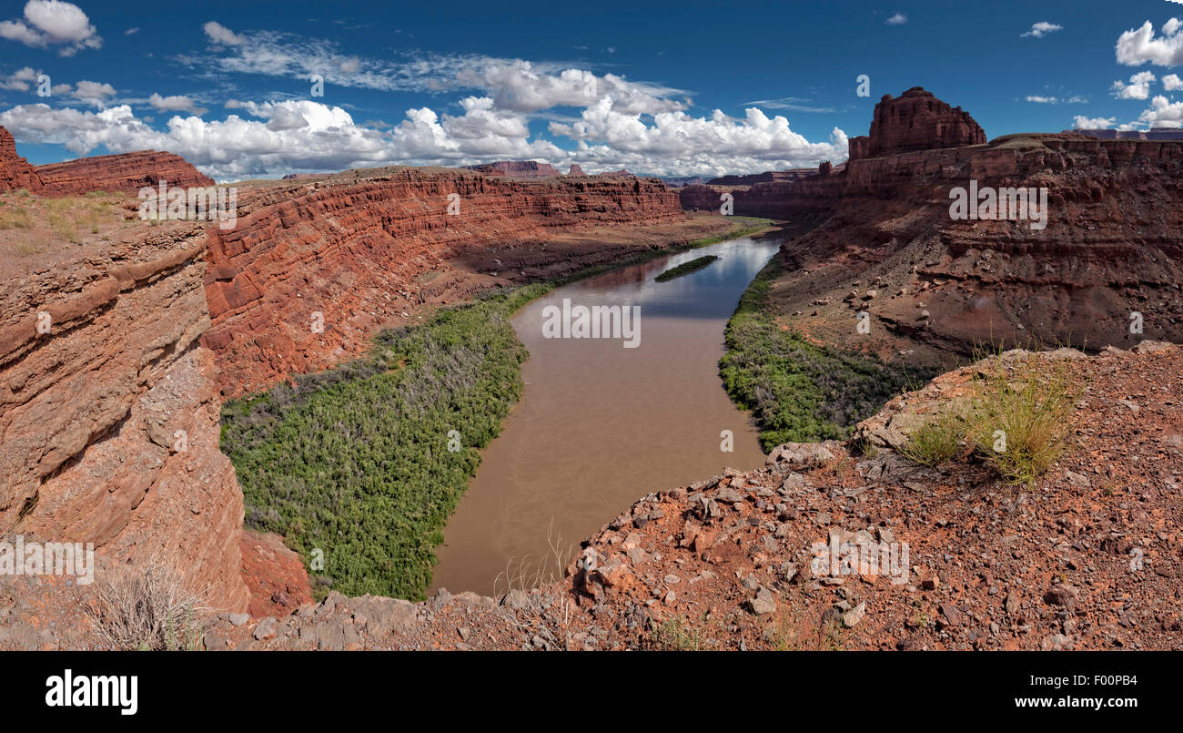 Vue sur le fleuve Colorado près de Dead Horse Point State Park, Utah Banque D'Images