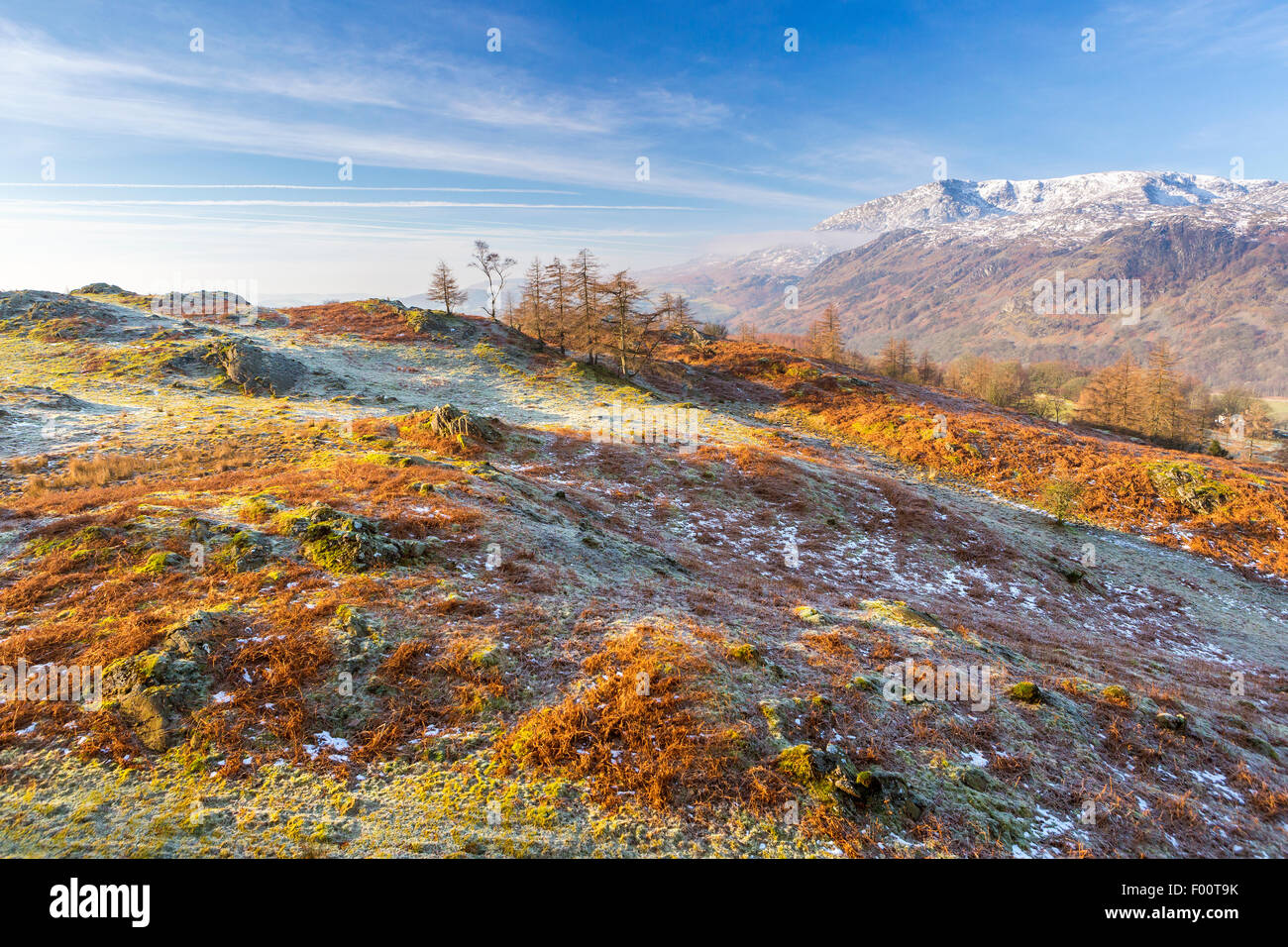 Une vue de l'admission vers Tarn Hows Le vieil homme de Coniston, Parc National de Lake District, Cumbria, Angleterre, Royaume-Uni, Eur Banque D'Images