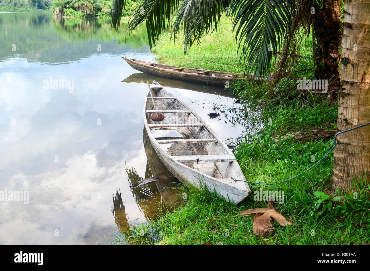 Paysage d'Afrique (Ghana), par le fleuve Volta juste en aval du barrage d'Akosombo Banque D'Images