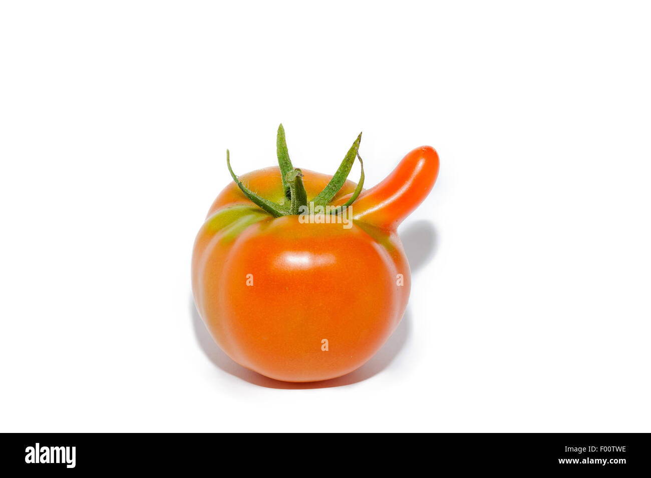 Curieux avec tomate traiter sous la forme d'un long nez sur blanc. Banque D'Images
