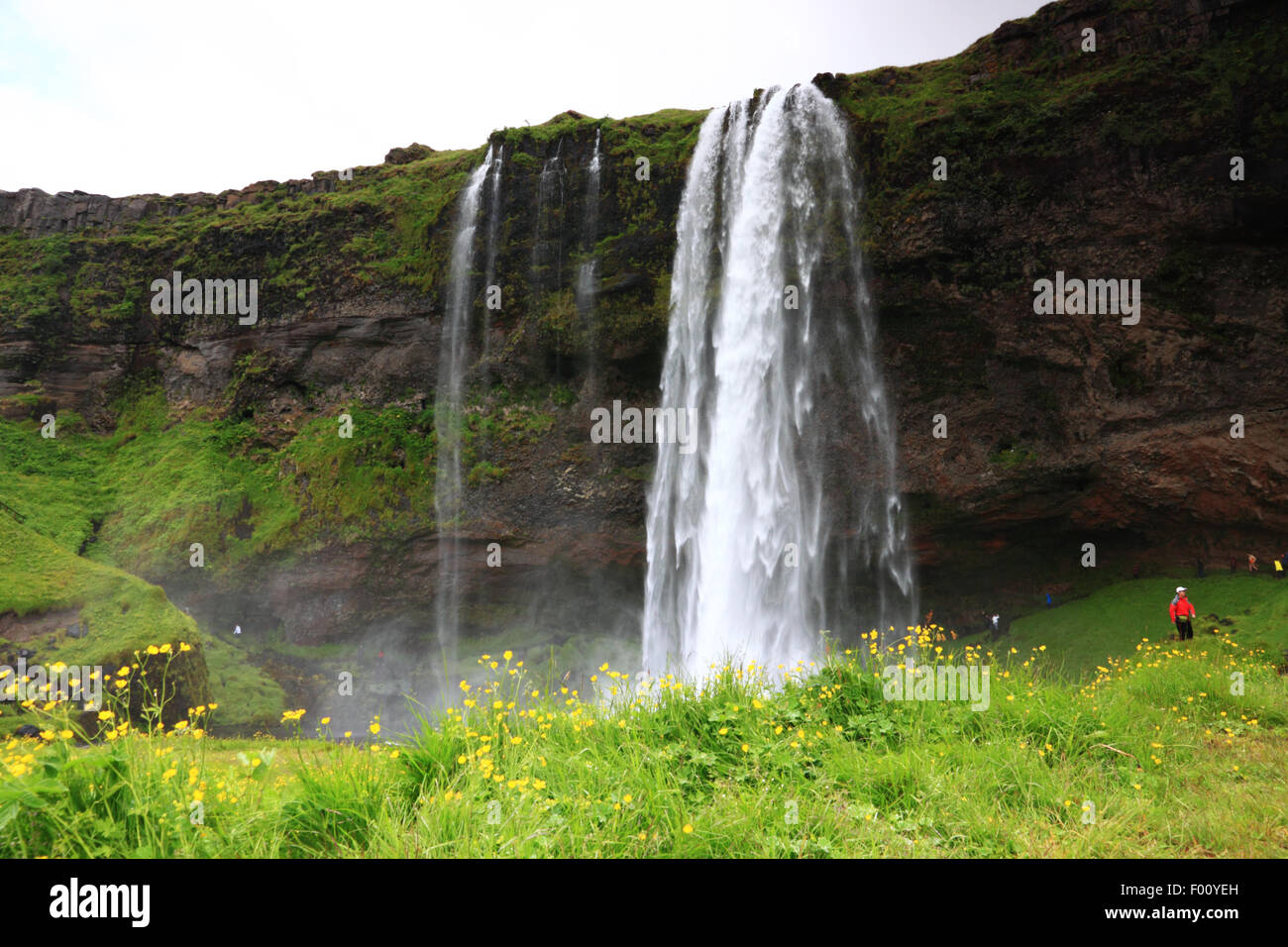 Une cascade en Islande. Banque D'Images