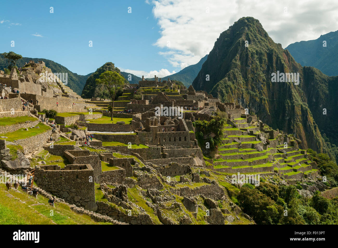 Le quartier de l'université, Machu Picchu, Pérou Banque D'Images