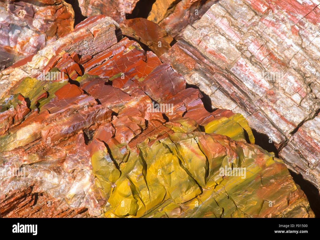 Le bois pétrifié, Parc National de la Forêt Pétrifiée, Arizona Banque D'Images