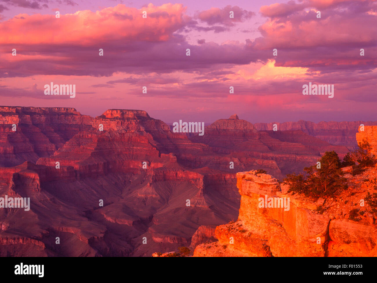 Vue de Yaki Point, Grand Canyon National Park, Arizona Banque D'Images