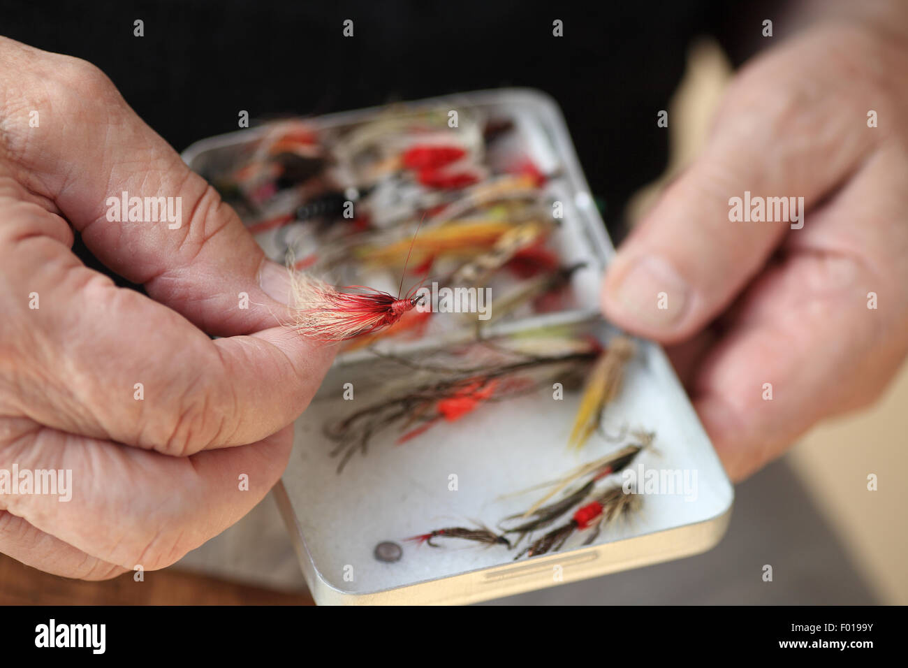 Un homme détient un leurre de pêche de mouche au-dessus d'une boite de mouches artificielles. Banque D'Images