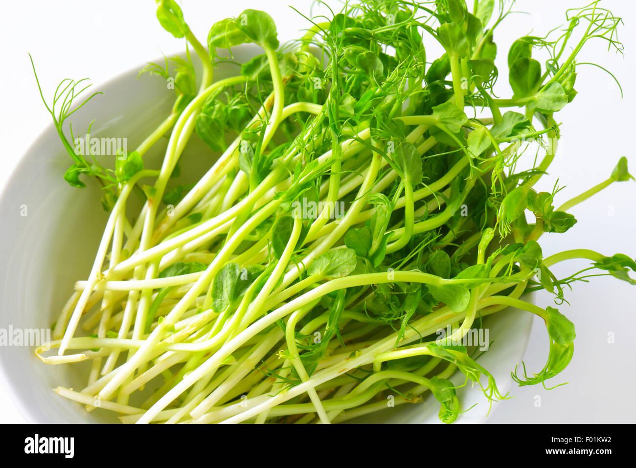 Détail de germes de pois verts frais Banque D'Images