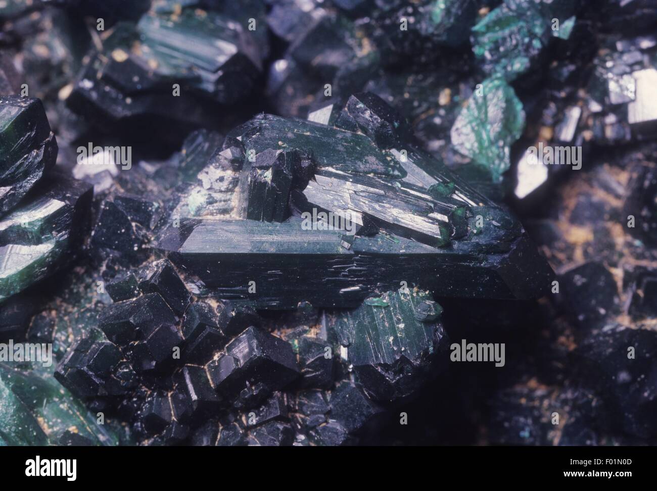Sulfures, la chalcopyrite (sulfure de cuivre fer) avec zinc blende (sulfure de fer), close-up Banque D'Images