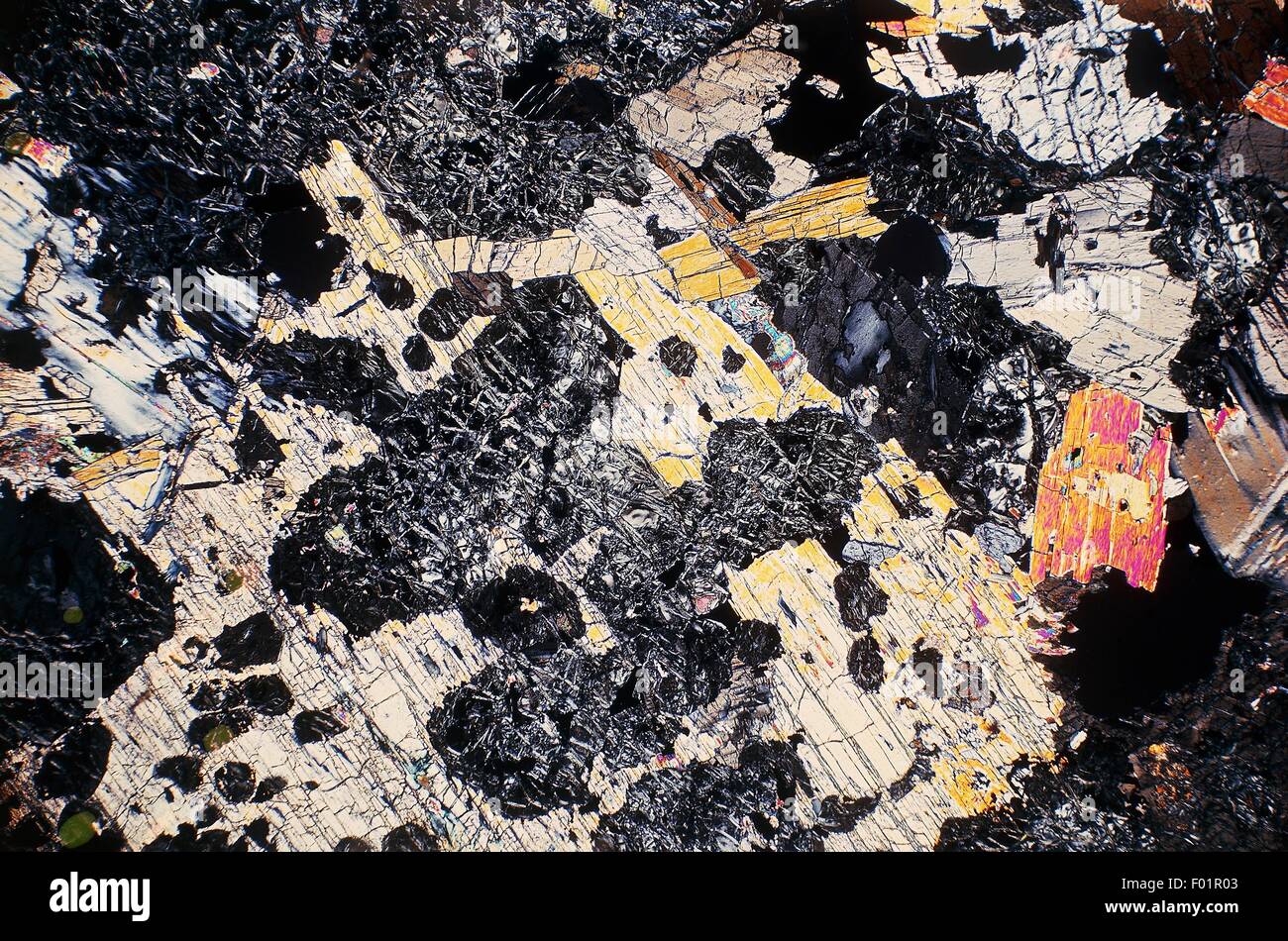 Serpentinised la péridotite, section fine, à l'aide de croisés Nicols, x17x1,5. Banque D'Images