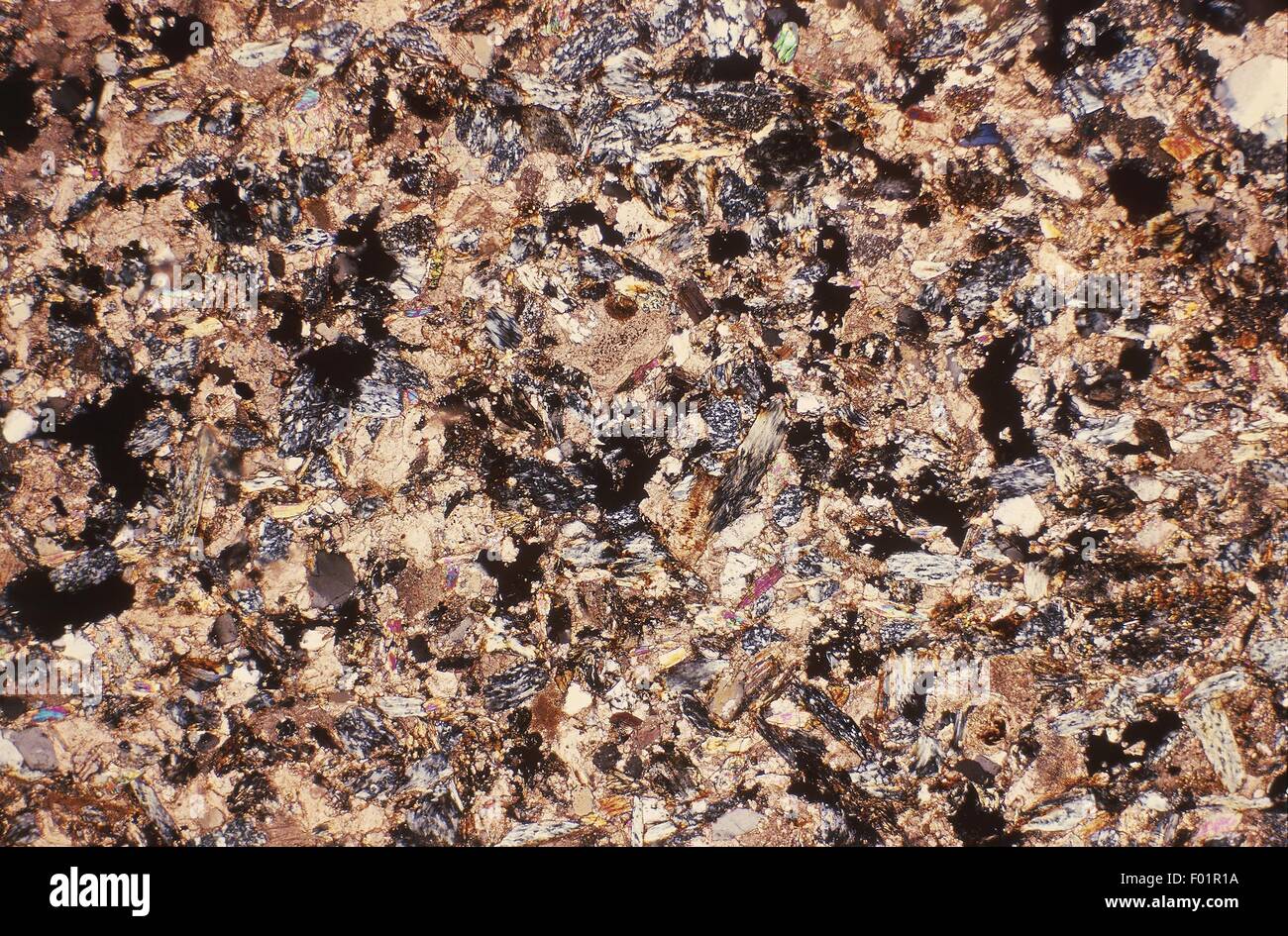 Minéraux : serpentinite granulaire de grès. Section fine. Nicols croisés. Banque D'Images