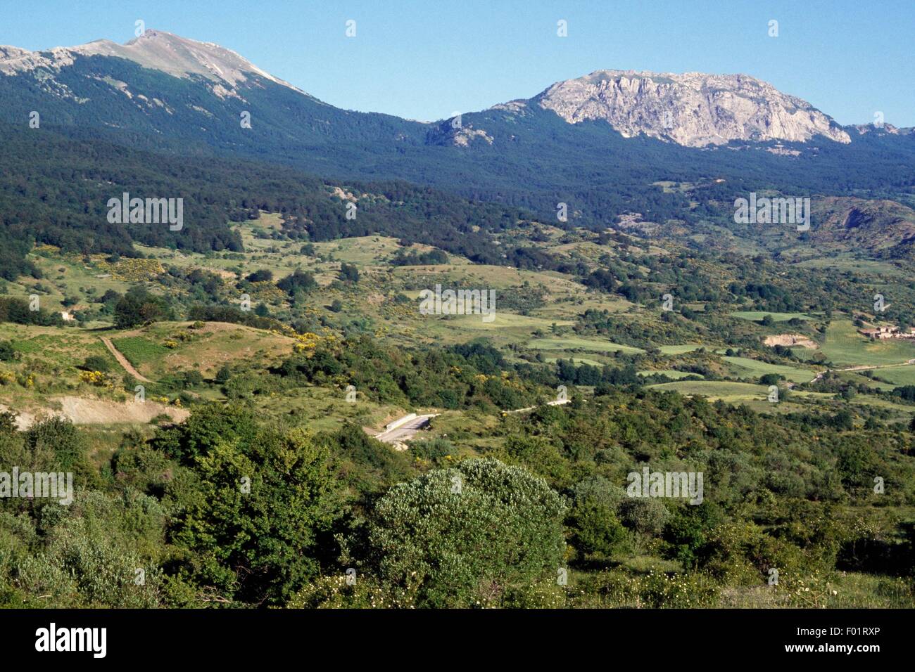 Serra delle Ciavole, parc national du Pollino, Calabre, Italie Photo Stock  - Alamy