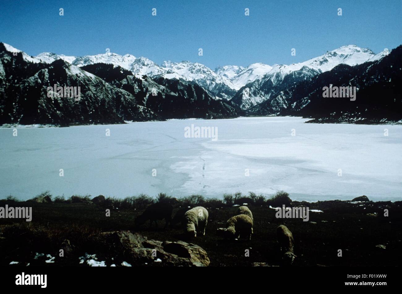 Chine - Ciel glacé ou le lac Lac Tian Chi Banque D'Images
