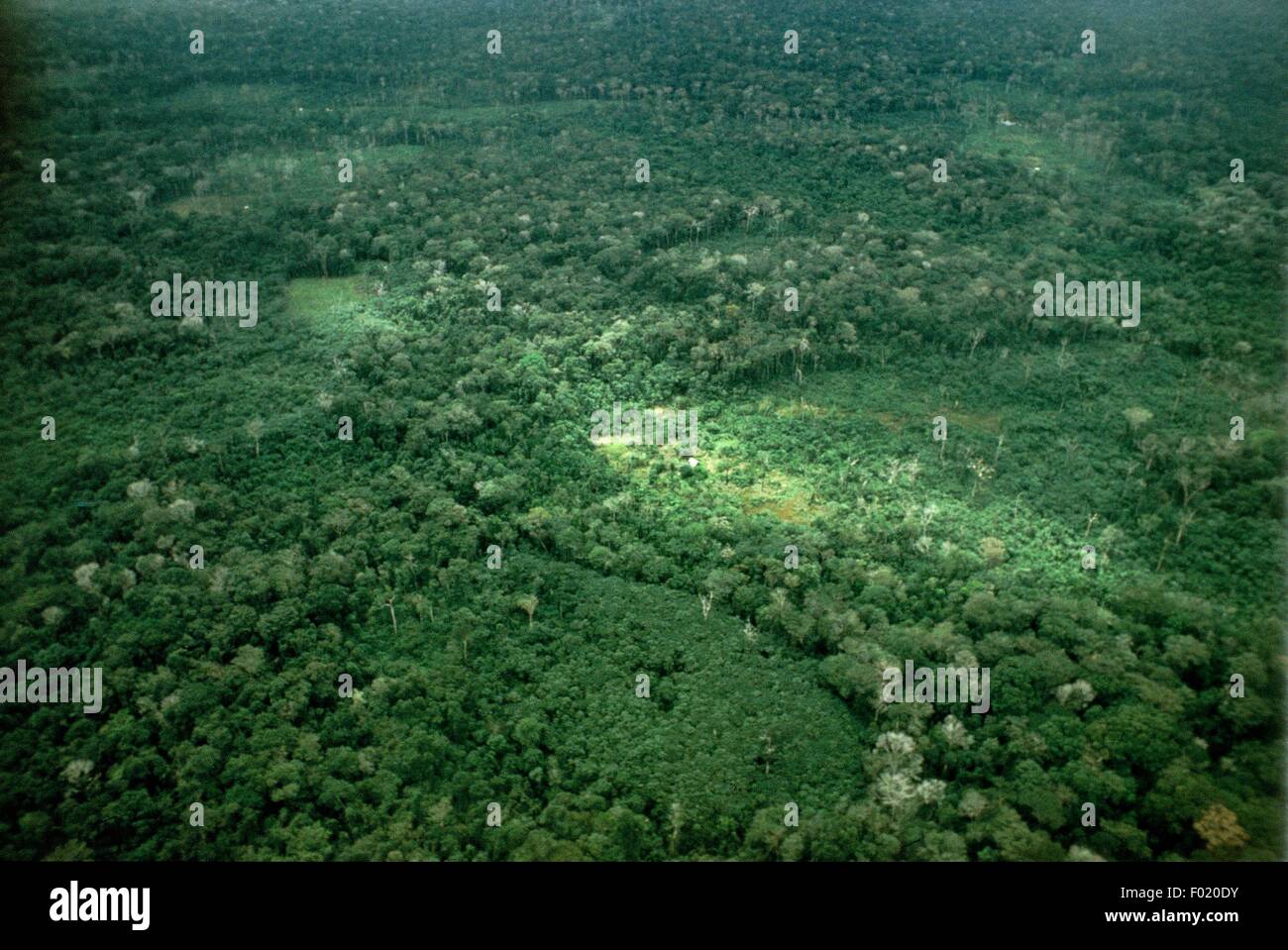 Vue aérienne de la forêt amazonienne au Brésil. Banque D'Images
