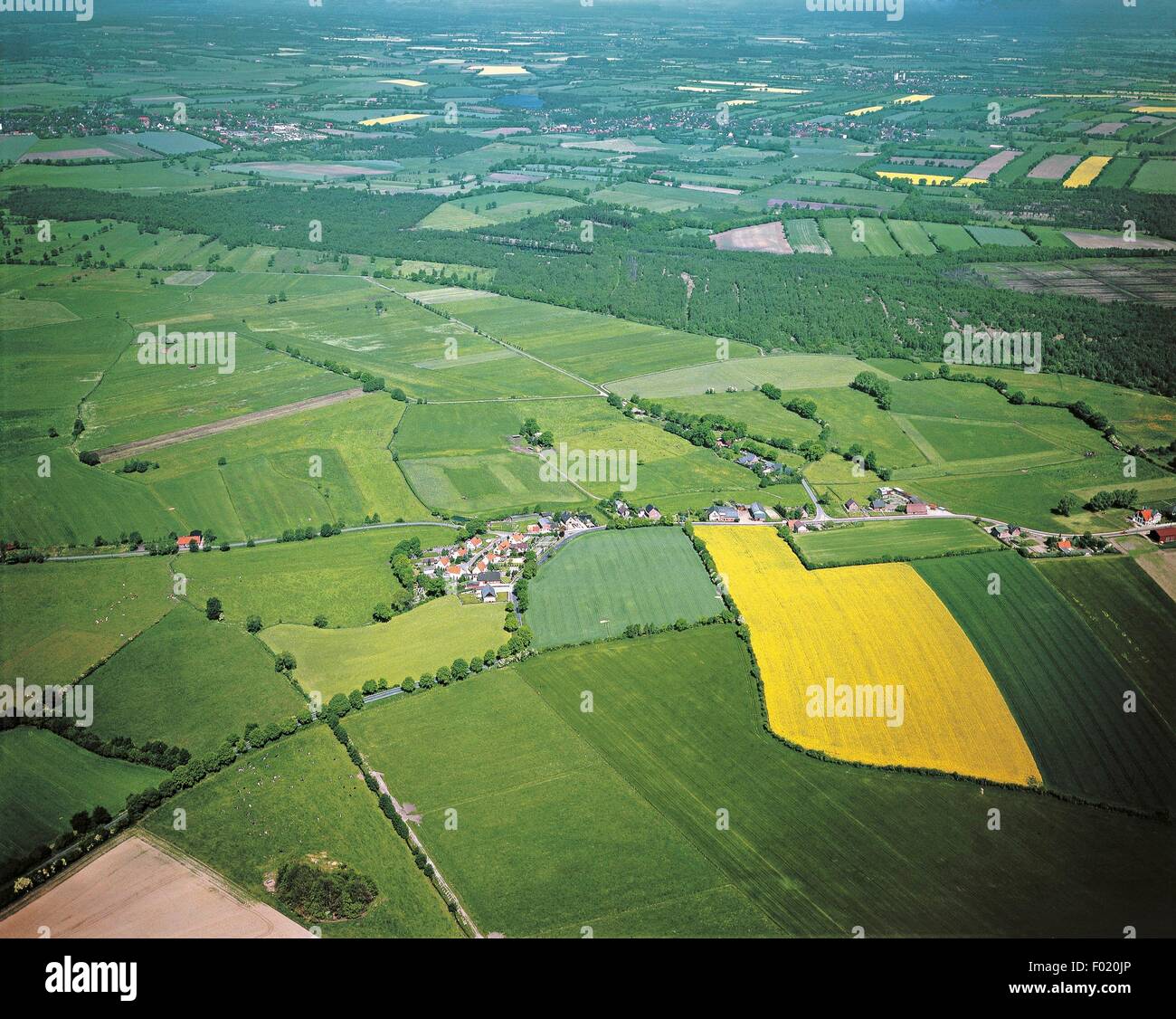 Vue aérienne de champs cultivés à l'est de Hanovre, Basse-Saxe, Allemagne Banque D'Images