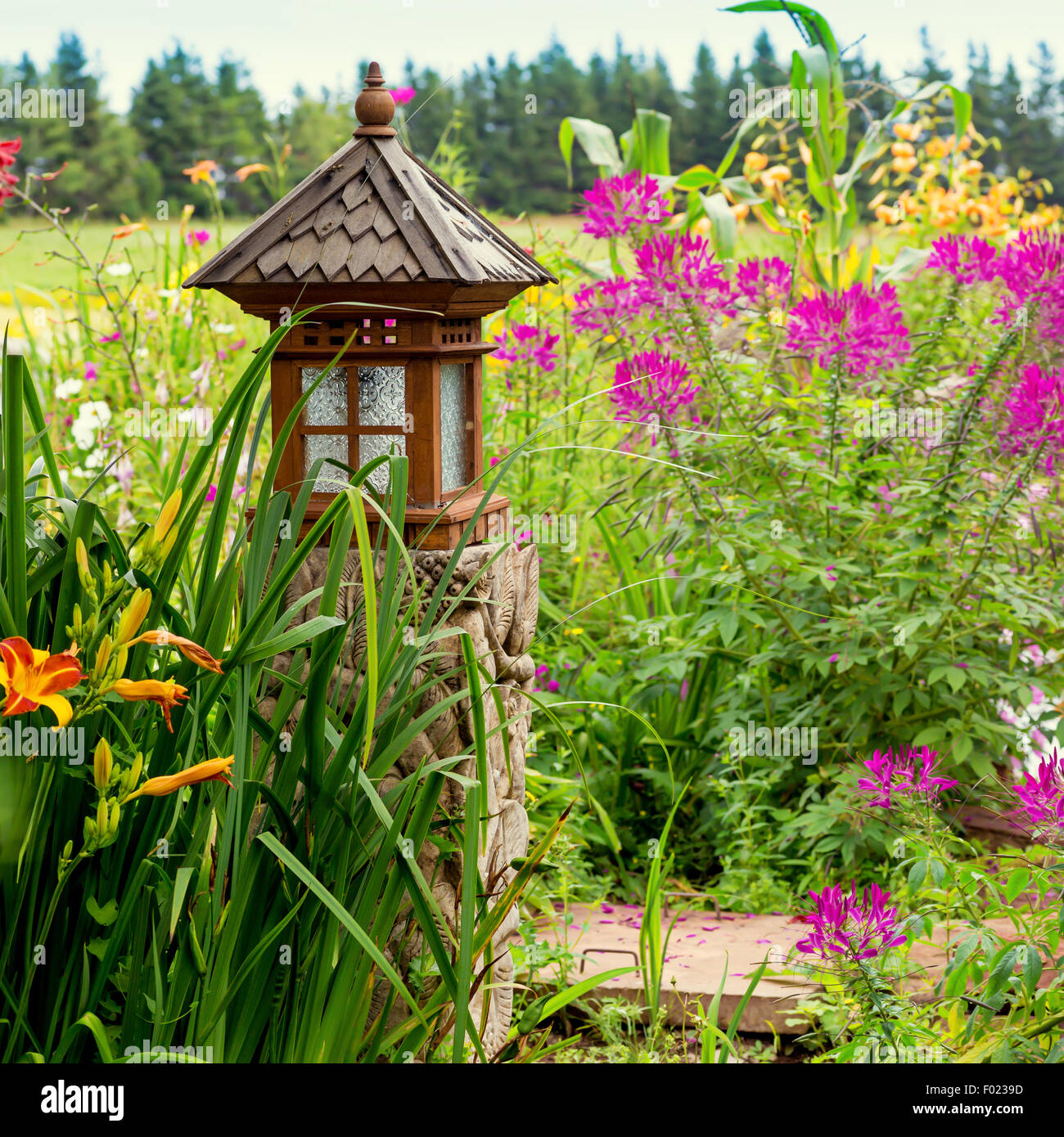 Lanterne d'inspiration asiatique dans le jardin d'été. Banque D'Images