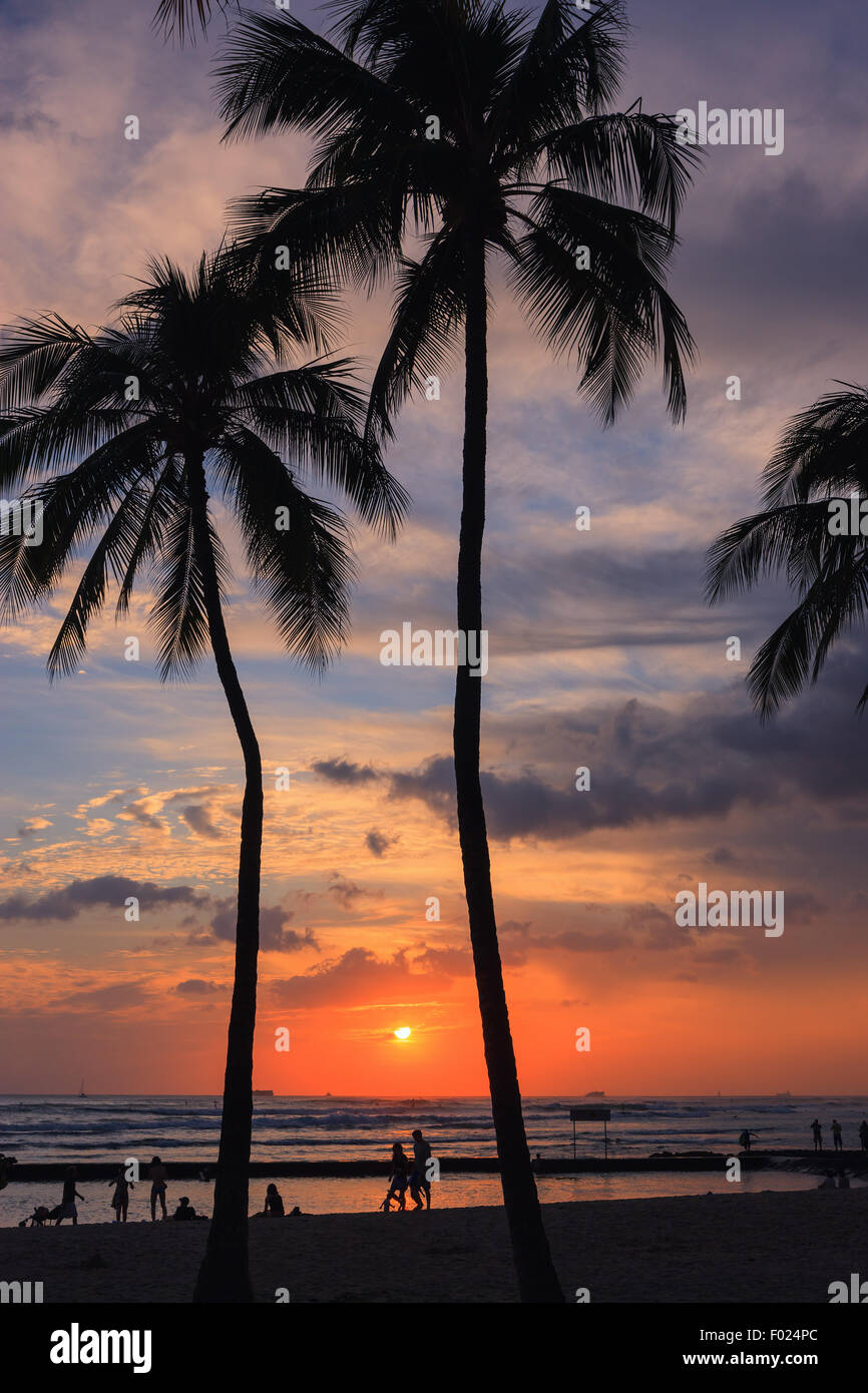 La plage de Waikiki sur Oahu, l'une des îles Hawaï au coucher du soleil. Banque D'Images