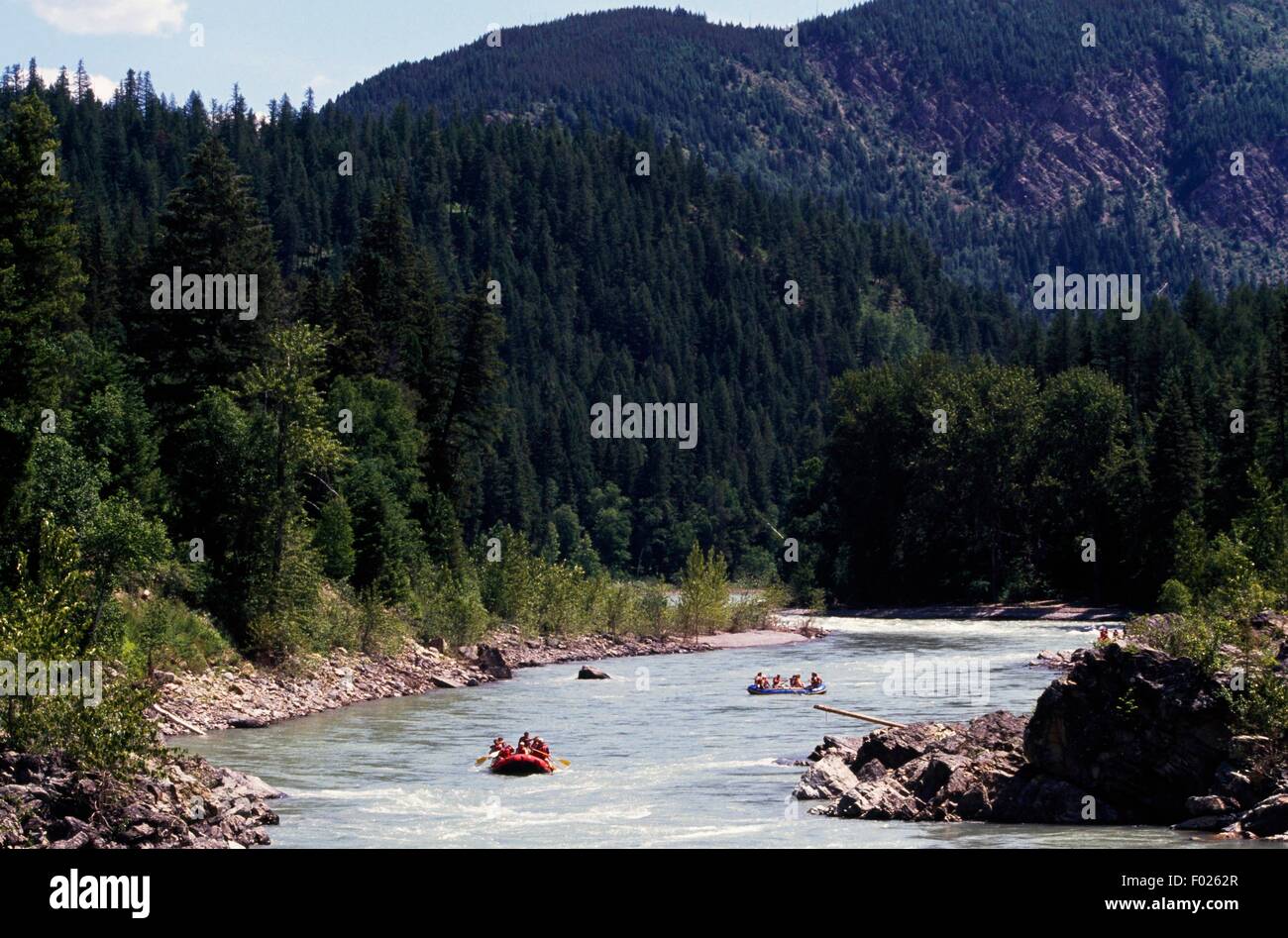 Rafting sur la rivière Middle Fork, le parc national des Glaciers (Liste du patrimoine mondial de l'UNESCO, 1995), Montana, États-Unis d'Amérique. Banque D'Images