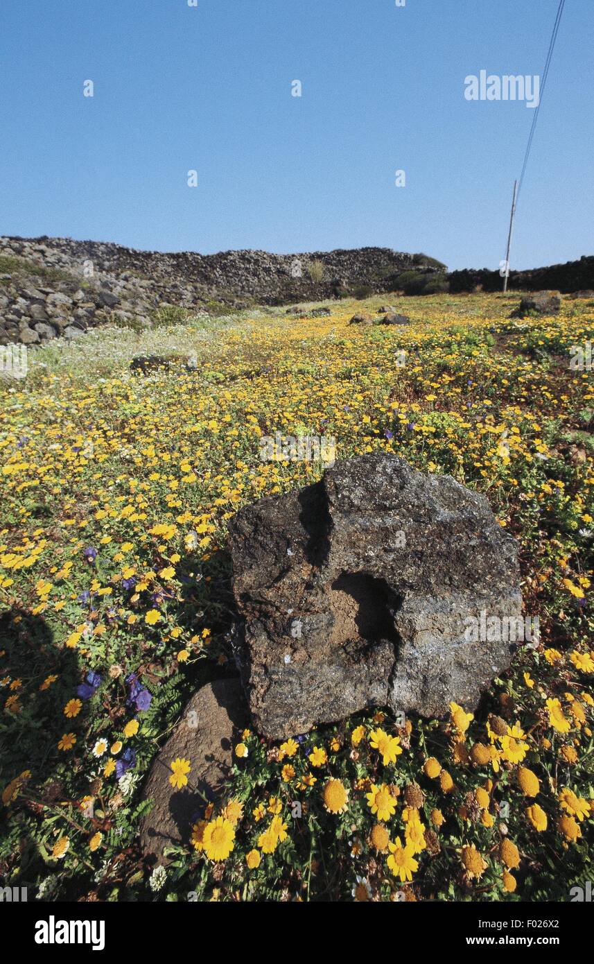 Italie - Sicile Région. L'île volcanique de Pantelleria. Les roches excavées à un site mégalithique Banque D'Images