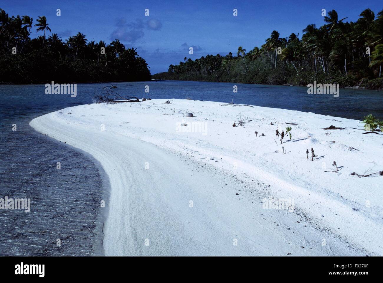 Polynésie française (territoire français d'outre-mer) - Îles de la société - Windward Islands - atoll de Tetiaroa Banque D'Images