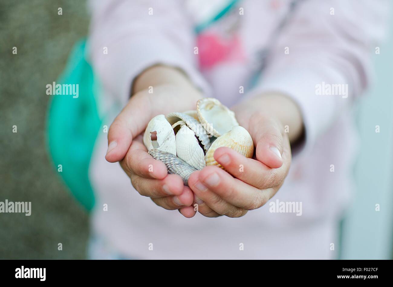 Little girl holding coquillages dans ses mains Banque D'Images