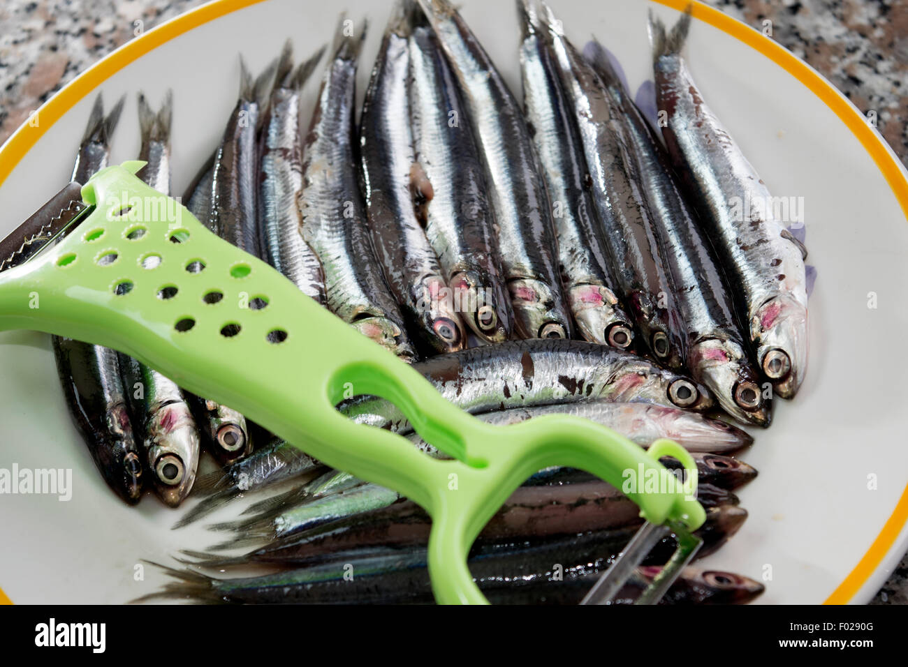 Anchois Frais de marché de la mer méditerranée Banque D'Images