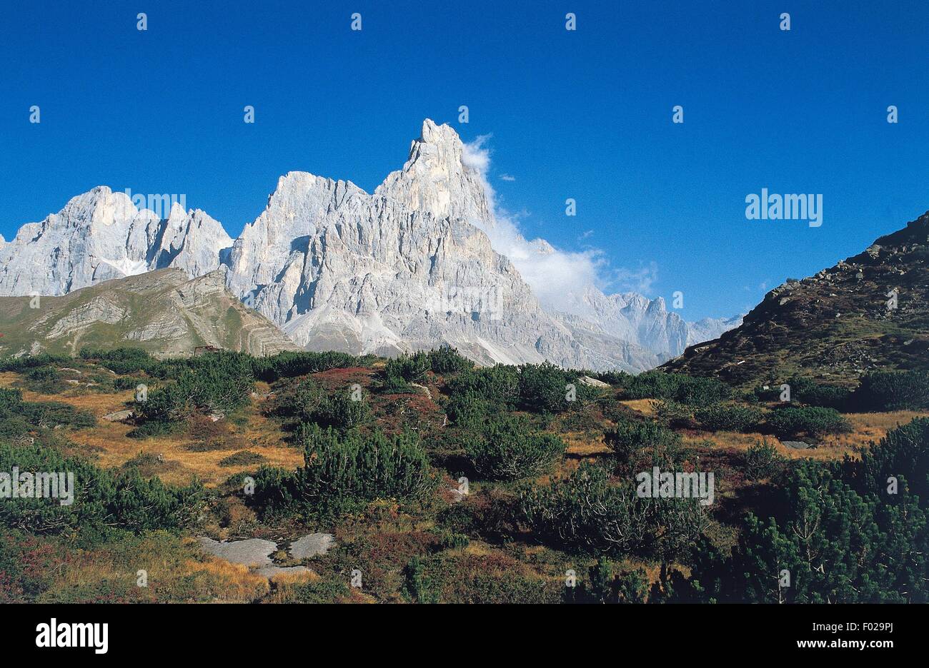 Rolle et le Cimon della Pala, Paneveggio-Pale di San Martino Nature Park, Dolomites (Liste du patrimoine mondial de l'UNESCO, 2009), Trentino-Alto Adige, Italie. Banque D'Images