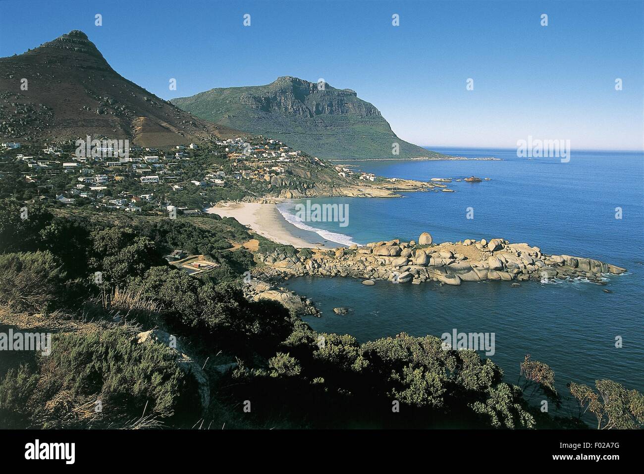 Portrait d'un côte, péninsule du Cap, Afrique du Sud Banque D'Images