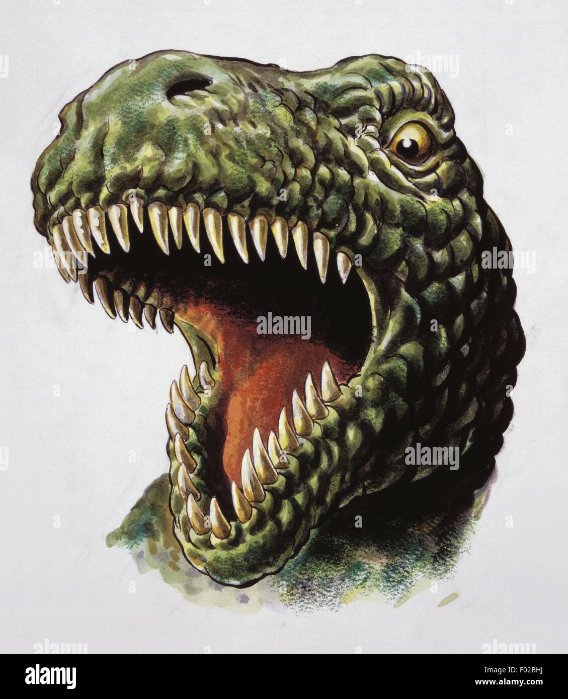 Paléozoologie - Crétacé - Dinosaures - Tyrannosaurus rex - Art par Mike Dorey Banque D'Images