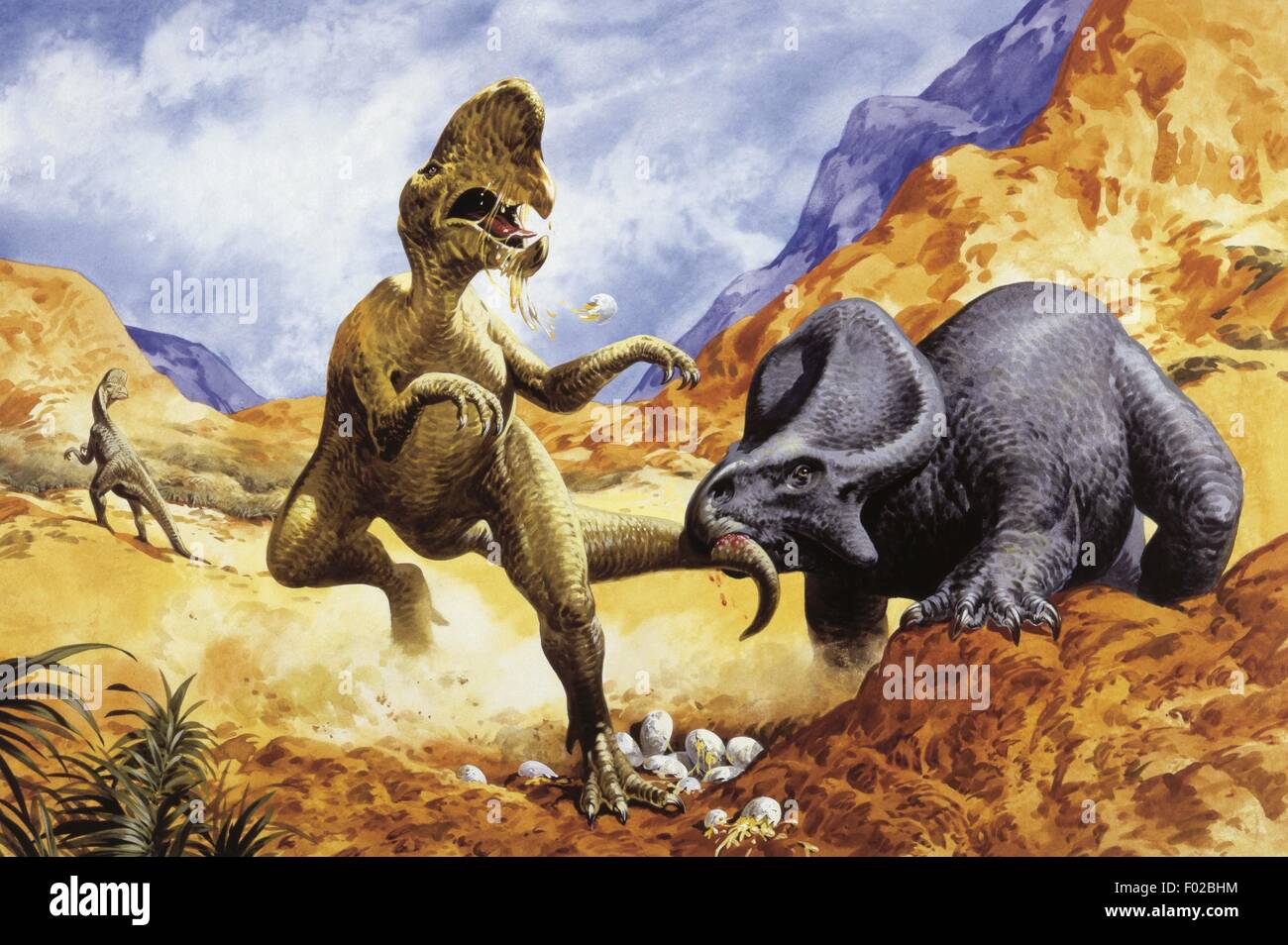 Paléozoologie - Crétacé - Dinosaures - Oviraptor (à gauche) et Protoceratops - Art par John Francis Banque D'Images