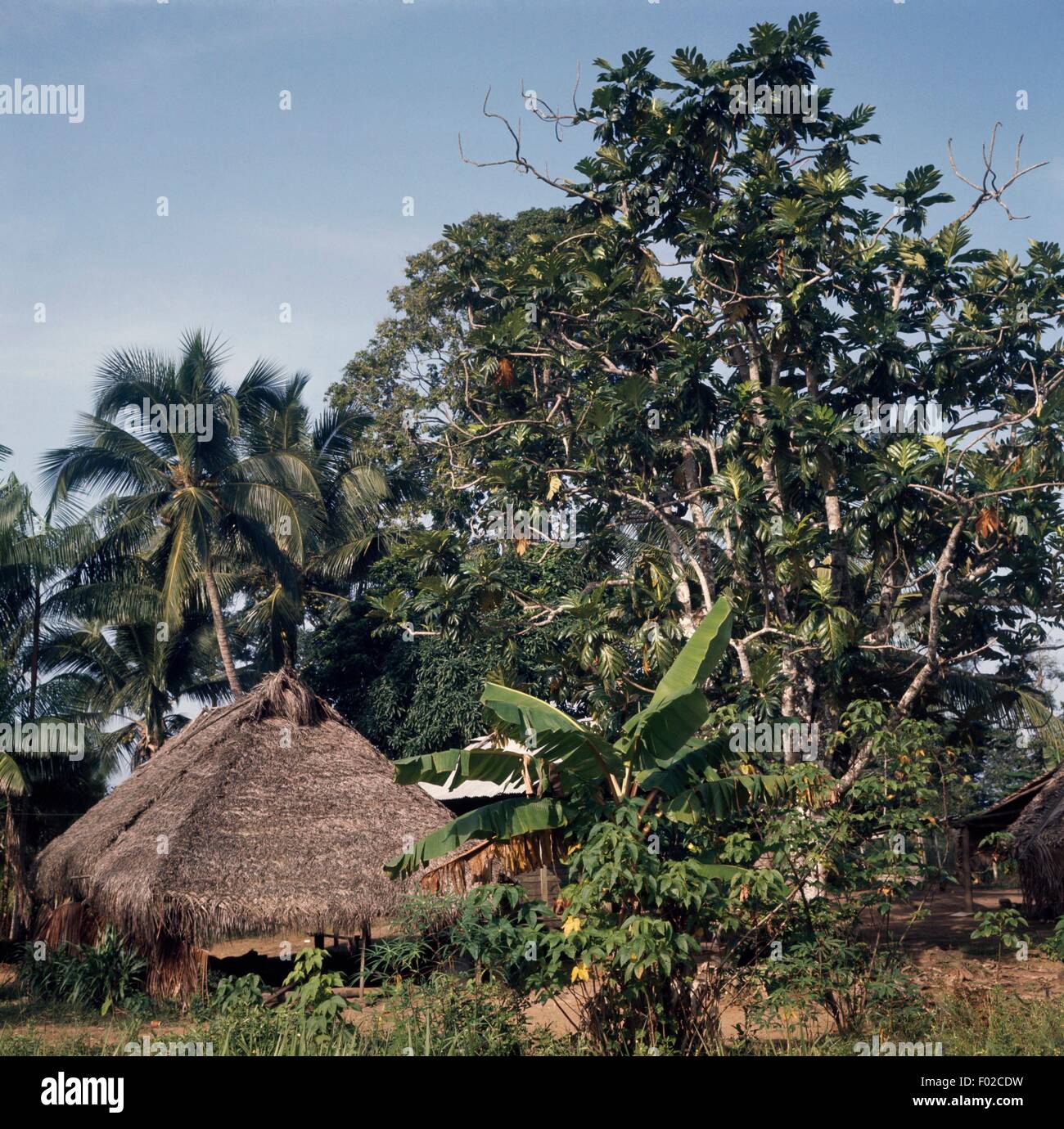 Bigestone, village Wayana, Suriname. Banque D'Images