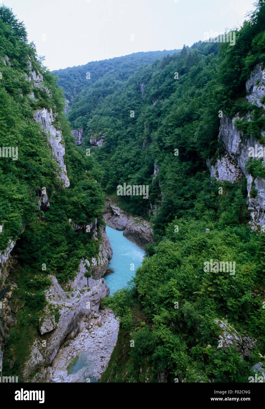 La rivière qui coule à travers un Cellina gorge avant de se jeter dans le lac de Barcis, Frioul-Vénétie Julienne, Italie. Banque D'Images