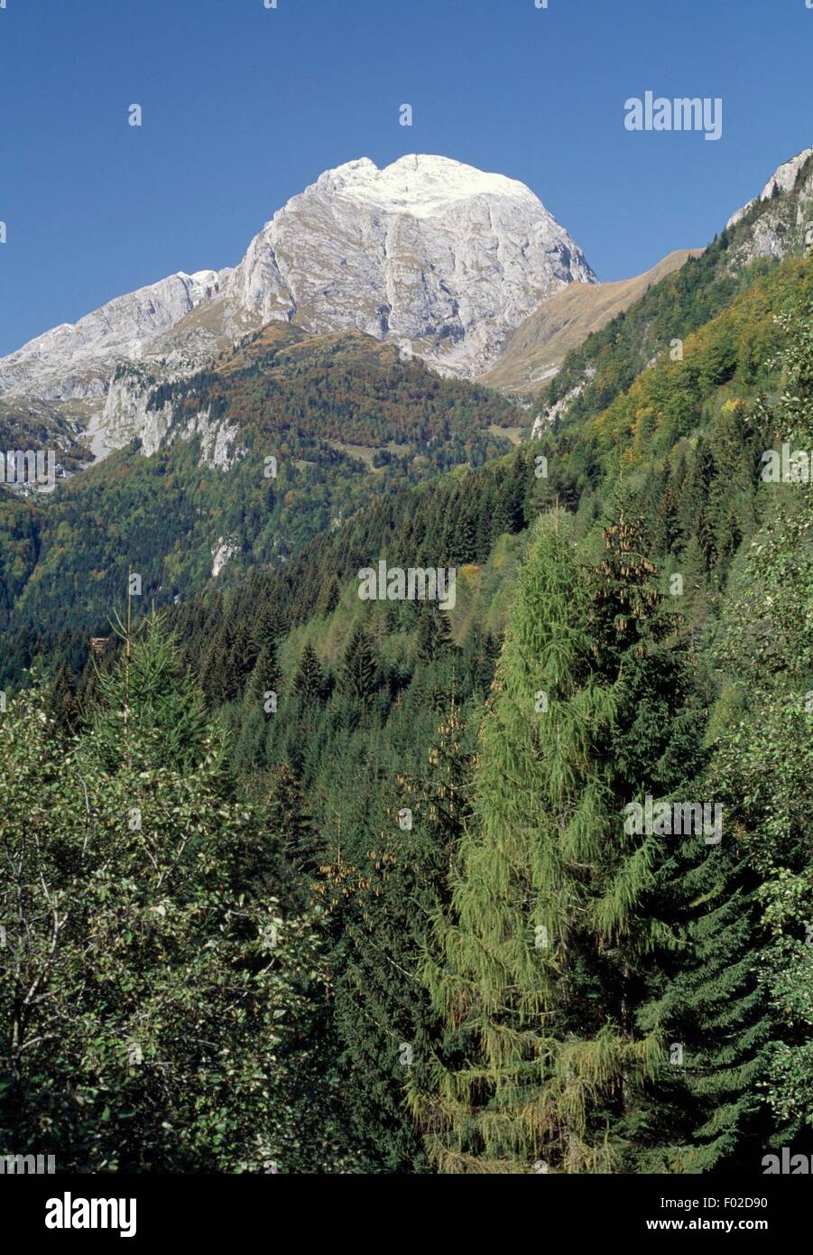 Le versant est de l'hôtel Creta delle Chianevate de Monte Croce Pass, Frioul-Vénétie Julienne, Italie. Banque D'Images