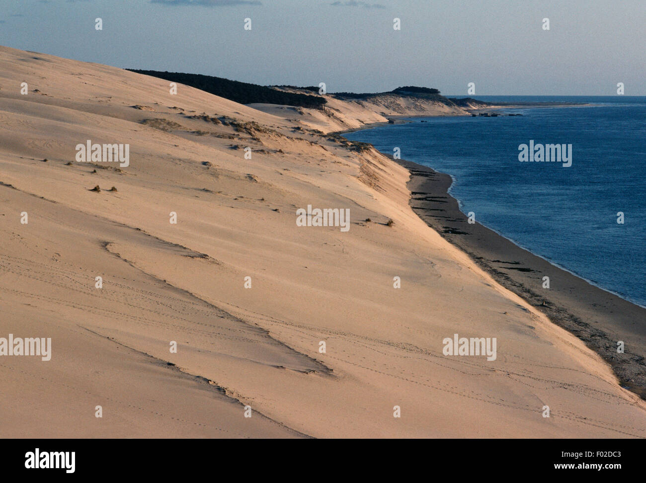Dune du Pilat, la plus haute dune de sable en Europe, d'Arcachon, Aquitaine, France. Banque D'Images
