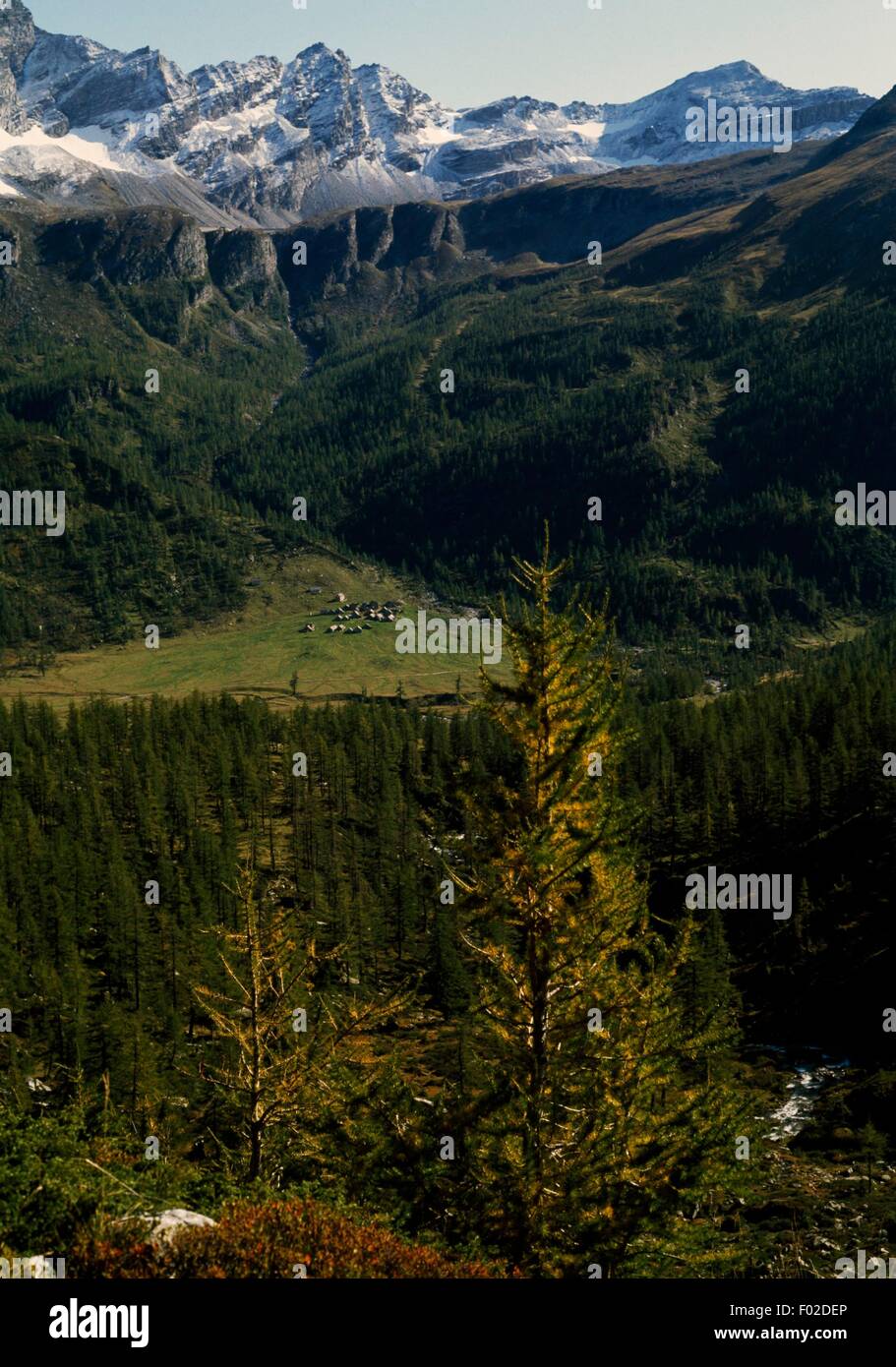 Paysage de haute montagne, à l'Alpe Veglia, Parc Naturel Veglia-Devero, Piémont, Italie. Banque D'Images