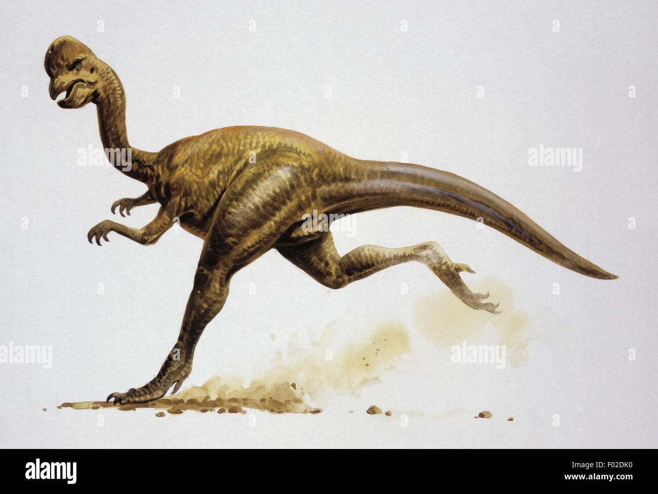 Paléozoologie - Crétacé - Dinosaures - Oviraptor - Art par John Francis Banque D'Images