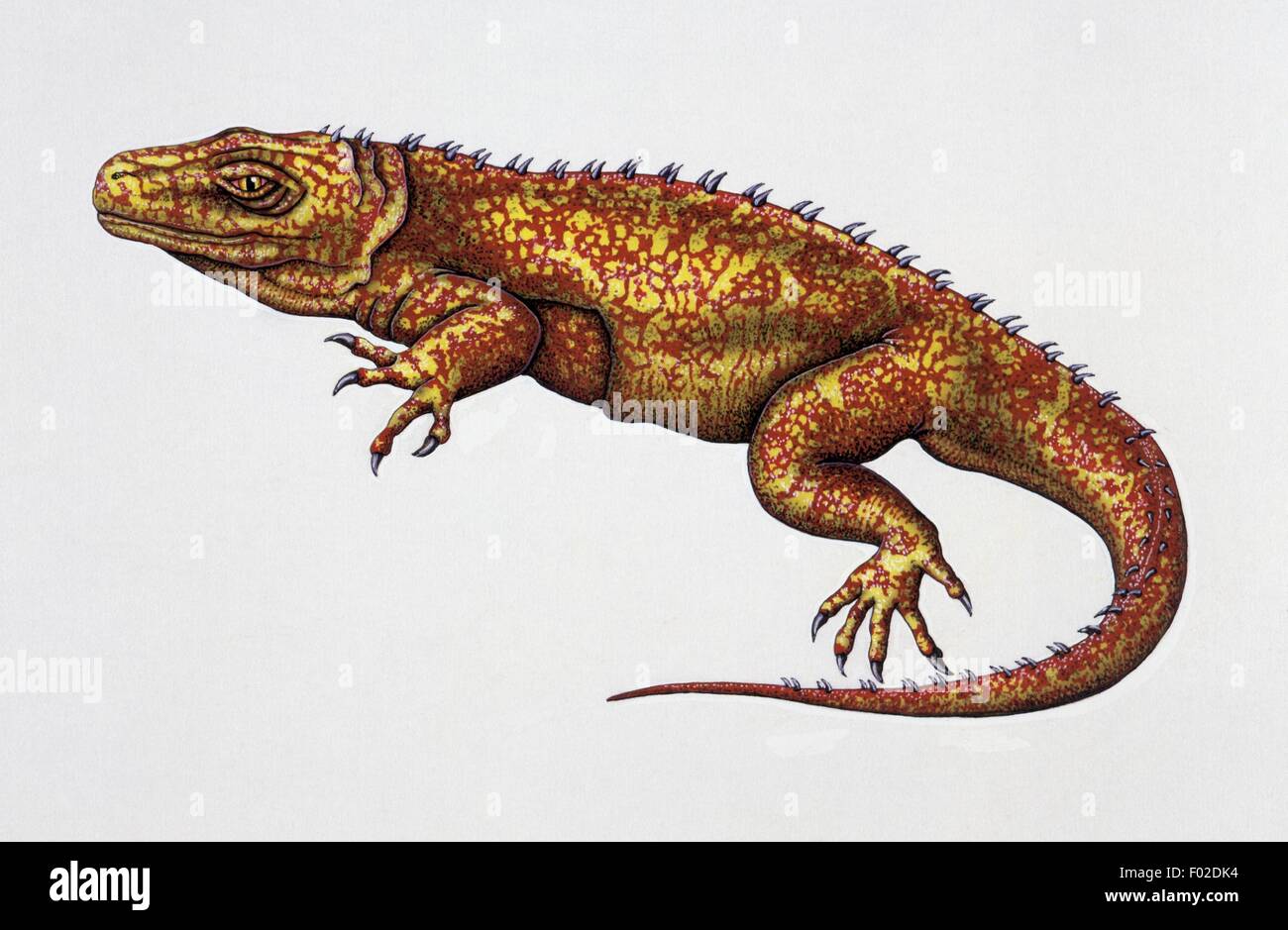 Paléozoologie - Trias - Les dinosaures - Planocephalosaurus - Art par Deborah Mansfield Banque D'Images