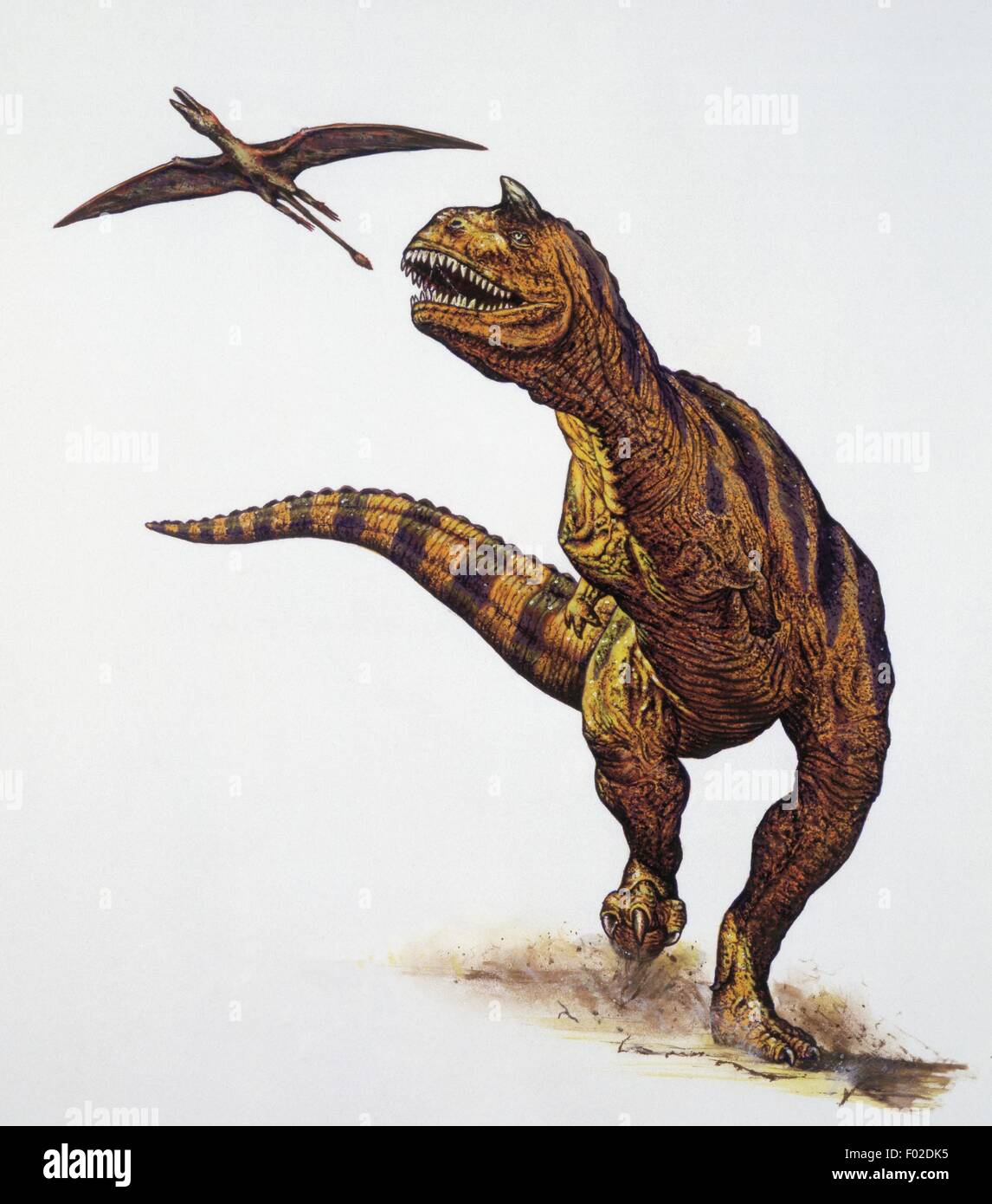 Paléozoologie - Crétacé - Dinosaures - Carnotaurus - Art par Neil Lloyd Banque D'Images