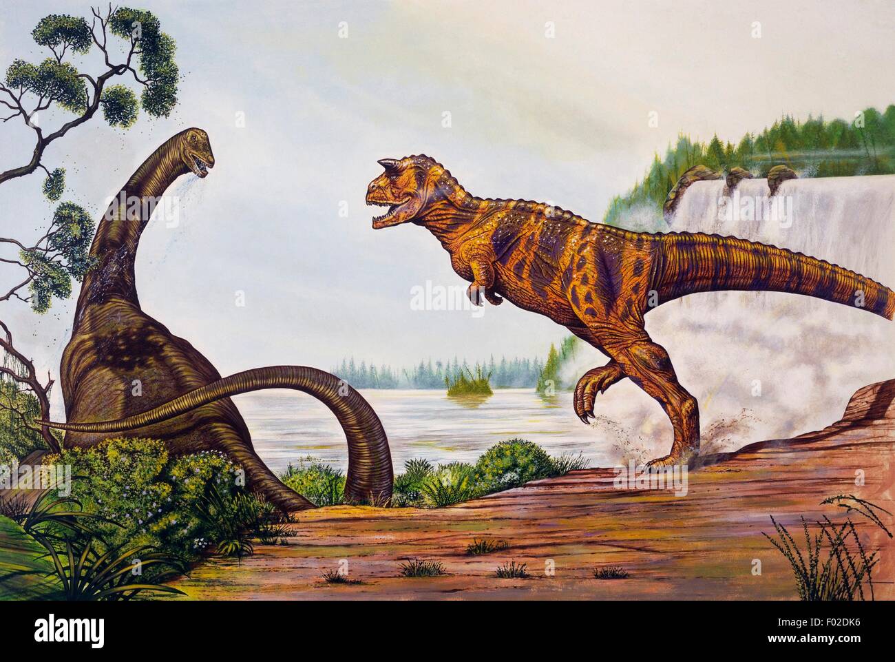 Brontosaurus (Ajax), l'Apatosaurus Diplodocidae, attaqué par un Carnotaurus sastrei, Abelisauridae, Cretaceous-Jurassic. Illustration de Neil Lloyd. Banque D'Images