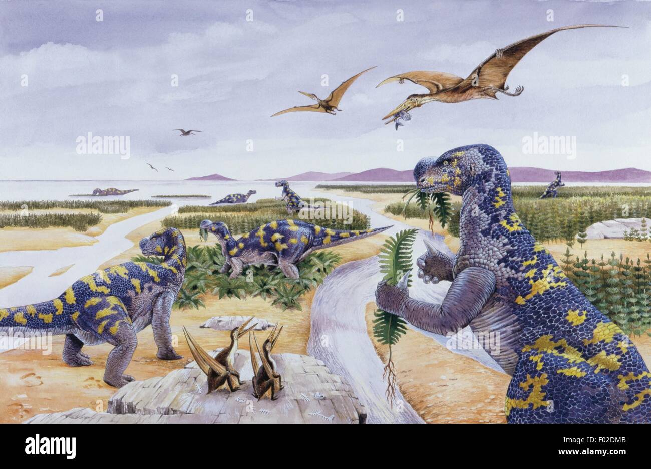 Paléozoologie - Crétacé - Dinosaures - Muttaburrasaurus - travail d'Art Banque D'Images